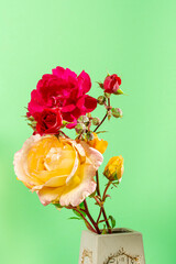 Photo of some pretty natural yellow and red roses on a plain light green background.The photograph has a copy space to put text or make a design to our liking.Photo taken in vertical format.