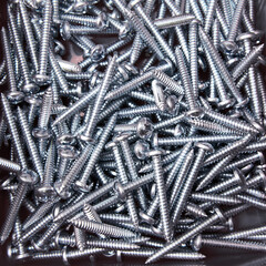 Set of screws in the store