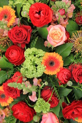 Pink roses and red camelia