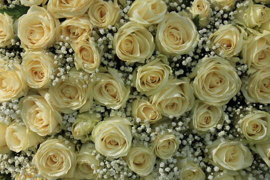 white rose and gypsophila bouquet © Studio Porto Sabbia