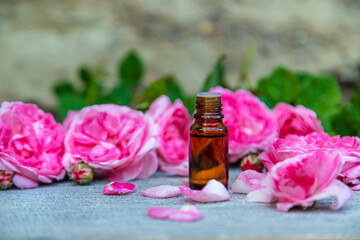 Obraz na płótnie Canvas Essential oil extract of tea rose. Selective focus.