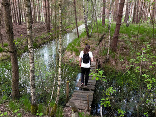 Hike in the woods old bridge and flowering creek.