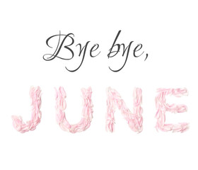 bye bye JUNE on white background. letters lined with fresh petals peony of the pink color. creative layout. minimal concept, flat lay,top view