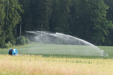 Water sprinklers irrigating a field in summertime