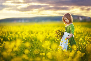 A little pretty girl in a green Bavarian dress with a white apron picking flowers in the field of flowering yellow mustard on a sunny summer day. Kids and nature. Children in country. Beautiful flora