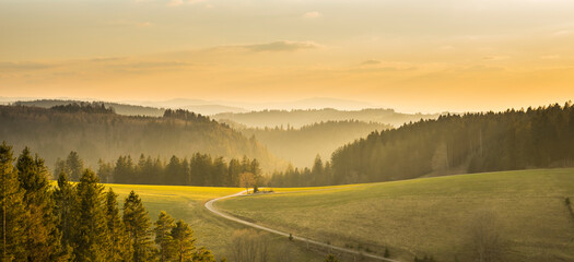 Germany, Beautiful path in forest panorama view of schwarzwald trees and nature landscape mountains in warm sunset sunlight - obrazy, fototapety, plakaty