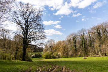 Promenade a Awaille en Belgique