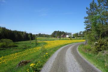 Gravel road in the countryside