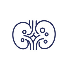 kidney stones and renal pain line icon