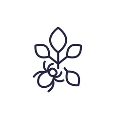pest, bug and plant line icon