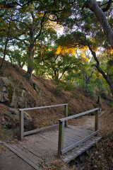 Hiking on the Fearing trail in Montecito California