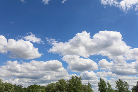 Beautiful cloudscape over tree line on a bright summer day.