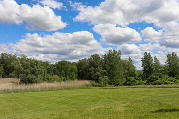 Rural landscape of trees and clouds on a sunny day. 