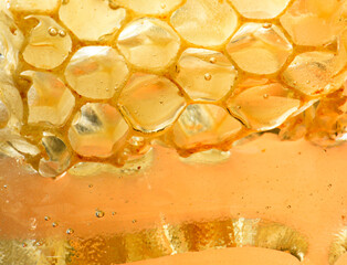 piece of honeycomb in honey. Macro photography in the studio.