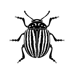 Colorado potato beetle, vector illustration