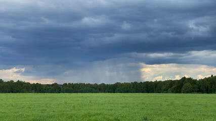 Summer thunderstorm. Stormy dramatic sky and green field