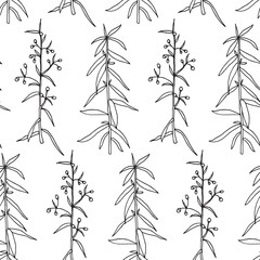 Fototapeta premium Seamless pattern. Vector illustration with tarragon branch.