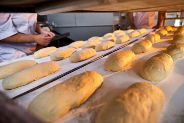 Raw dough bread on a oven-tray before baking in an oven at the manufacturing