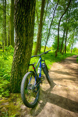 Fototapeta na wymiar Enduro bicycle on the trail in the summer season