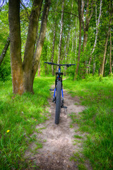 Enduro bicycle on the trail in the summer season