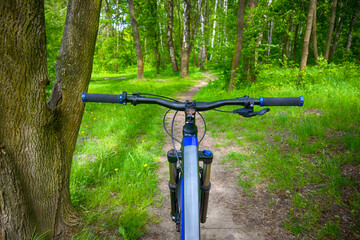 Fototapeta premium Enduro bicycle on the trail in the summer season