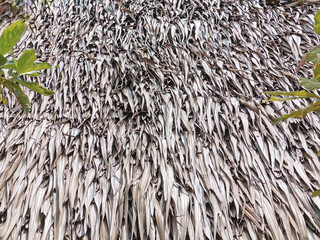 Full Frame Background of Thatched Roof