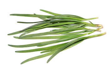 Leek on a white background 
