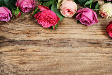 Garden roses on wooden background, copy space.