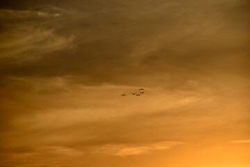 Sunset sky with clouds in the evening in summer