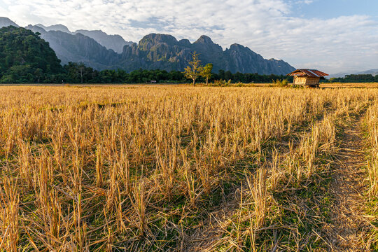 Field and small hut in Vang Vieng, Laos
