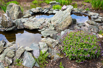 Artificial pond in the garden