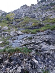 stream in the mountains