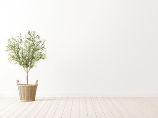 Living room interior wall mockup with green olive tree in wicker basket on wooden floor and empty white background. 3d illustration, 3d rendering