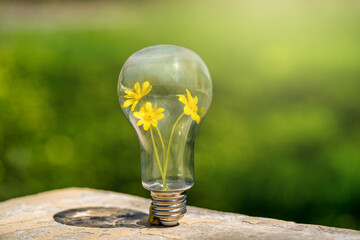 Yellow flowers in a glass bulb on the background of nature on a bright sunny day