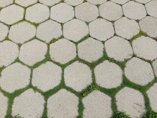 Hexagonal floor tiles with grass design for natural growth power concept