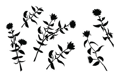 Vector silhouettes of the branch of trees, with leaves, flowers, black color, isolated on white background