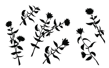 Fototapeta premium Vector silhouettes of the branch of trees, with leaves, flowers, black color, isolated on white background