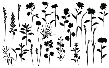 Vector silhouettes of garden and field spring flowers with leaves, flowering plants, twigs, floral designe, hand drawing, black color, isolated on a white background