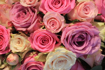 Obraz na płótnie Canvas Mixed pink roses
