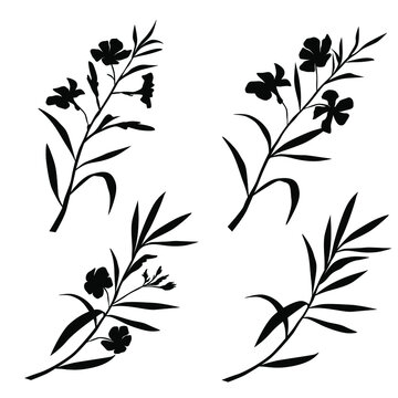 Vector silhouettes of the branch of trees, with leaves, flowers oleander, black color, isolated on white background