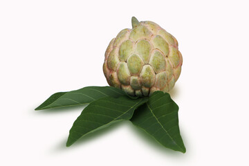Fresh Sugar apple (custard apple, Annona, sweetsop)  with green leaf isolated on white background, exotic tropical Thai annona or cherimoya fruit, healthy food