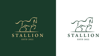 Elegant horse icon. Royal stallion logo. Equine stables sign. Equestrian brand emblem. Vector illustration.