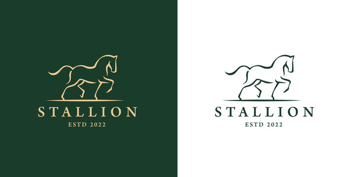 Elegant horse icon. Royal stallion logo. Equine stables sign. Equestrian brand emblem. Vector illustration.