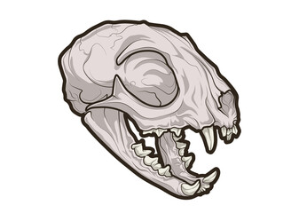 Illustración a Color de un craneo de Gato para usar como recurso en portadas, anuncios, panfletos, tatuajes etc