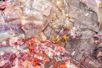 Obraz na płótnie Canvas Petrified Forest National Park in Arizona