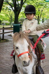 乗馬体験をする男の子