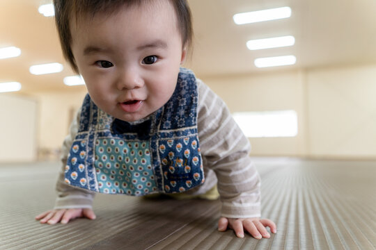 103 件の最適な 生後半年 画像 ストック写真 ベクター Adobe Stock 103 件の最適な 生後半年 画像 ストック写真 ベクター Adobe Stock