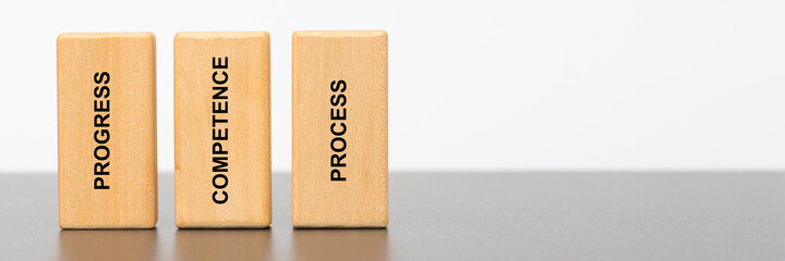 progress, competence and process