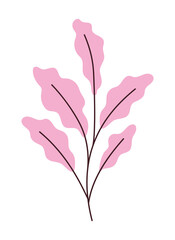 pink leaves representation