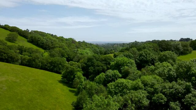 Flying over the Devon countryside in the summer sun